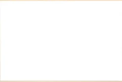 Birketræsramme, smal - Type 810