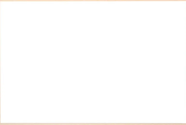 Birketræsramme, smal - Type 810