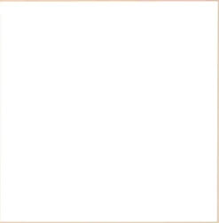 Birketræsramme, smal - Type 810