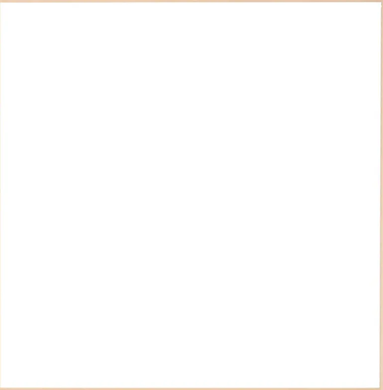 Birketræsramme, smal - Type 810