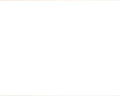 Birketræsramme, smal - Type 810