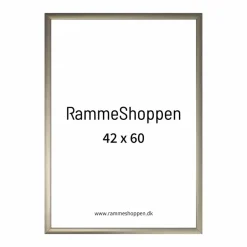 Champagne aluramme, mat, smal - 42x60 cm (A2) - Type 9042