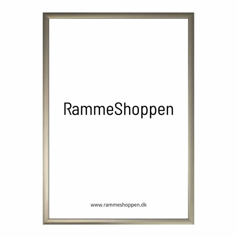 Champagne aluramme, mat, smal - Type 9042