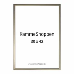 Champagne aluramme, mat, smal - Type 9042