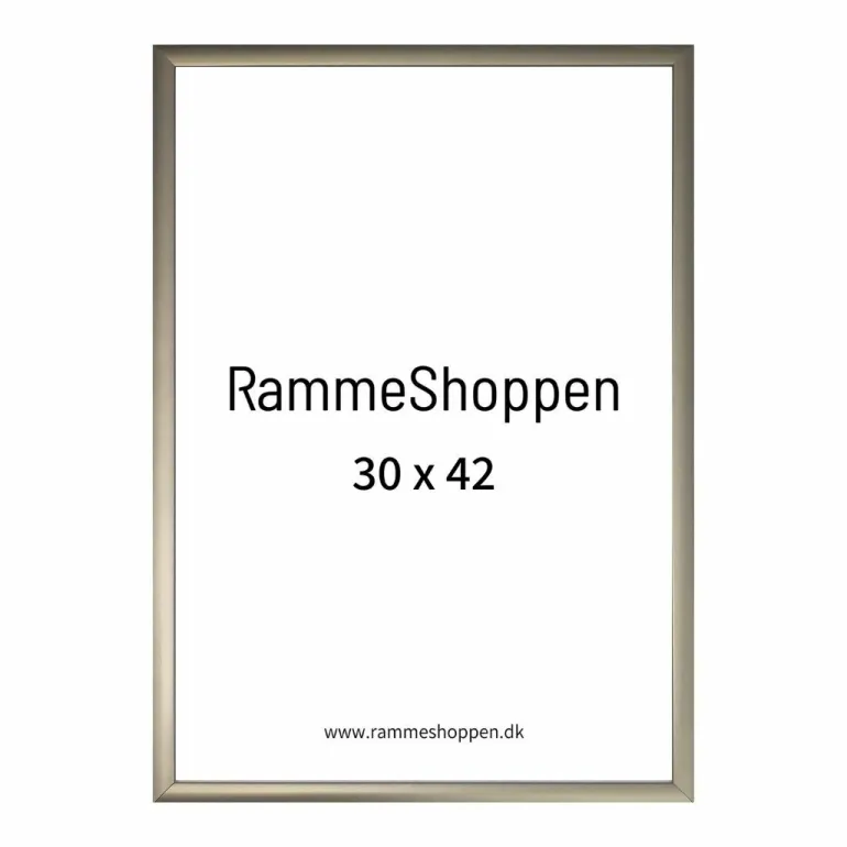 Champagne aluramme, mat, smal - Type 9042