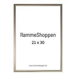 Champagne aluramme, mat, smal - Type 9042