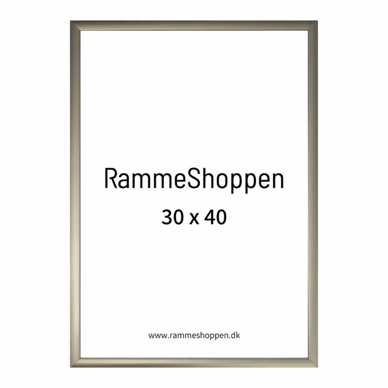 Champagne aluramme, mat, smal - Type 9042