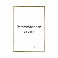 Guldramme, aluminium, blank, smal, 70 x 100 cm, Type 9012