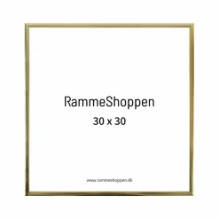 Guldramme, aluminium, blank, smal, Type 9012