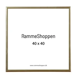 Guldramme, aluminium, blank, smal, Type 9012