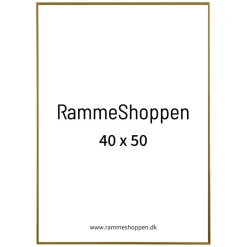 Guldramme, aluminium, blank, smal, Type 9012