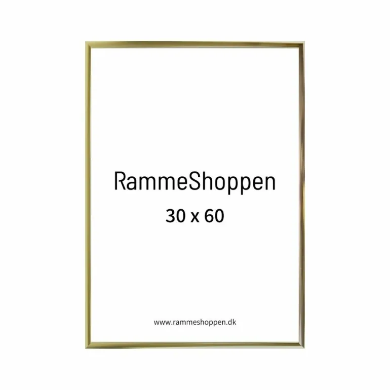Guldramme, aluminium, blank, smal, 30 x 60 cm, Type 9012