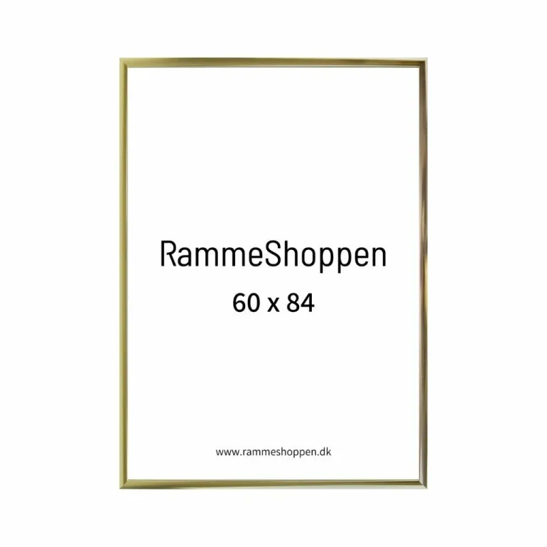 Guldramme, aluminium, blank, smal, 60 x 84 cm, A1, Type 9012