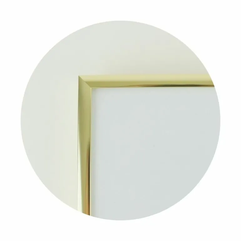 Guldramme, aluminium, blank, smal, 60 x 84 cm, A1, Type 9012