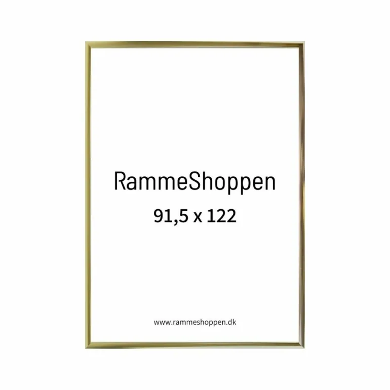 Guldramme, aluminium, blank, smal, 91,5 x 122 cm, Type 9012