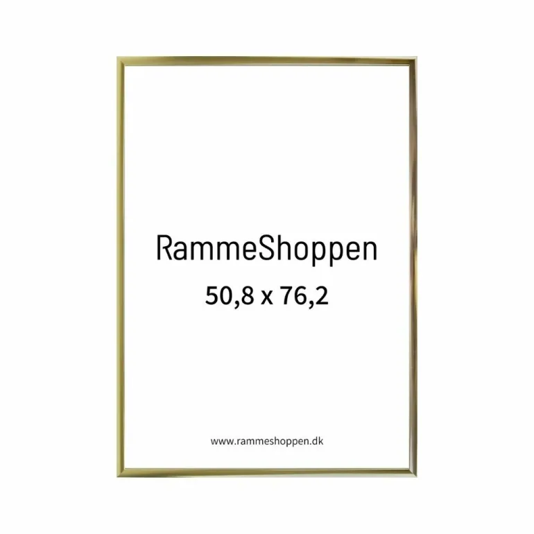 Guldramme, aluminium, blank, smal, 50 x 75 cm, 50,8 x 76,2 cm indhold, Type 9012