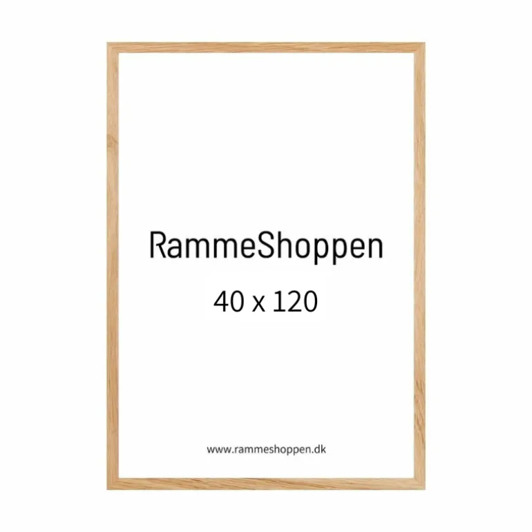 Massiv Egetræsramme - 40 x 120 cm - Type 851