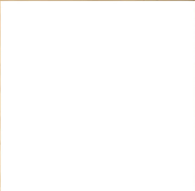 Massiv egetræsramme, smal - Type 320