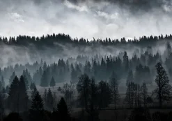 Plakat, Before twilight