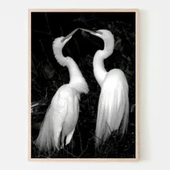 Plakat, Doing the dance