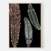 Plakat, Feather