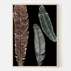 Plakat, Feather