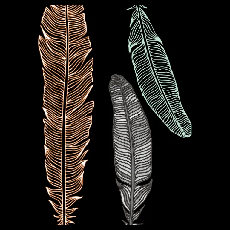 Plakat, Feather