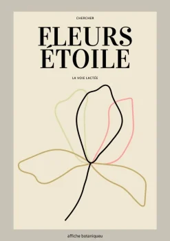 Plakat, Fleurs etoile