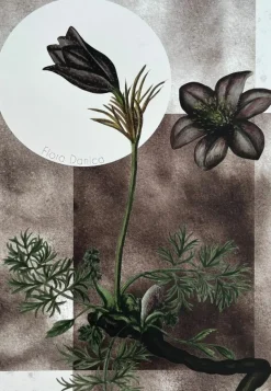 Plakat, Flora Danica II