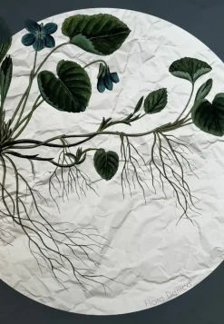 Plakat, Flora Danica III