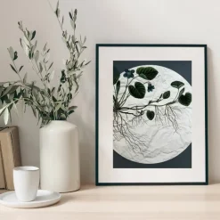 Plakat, Flora Danica III