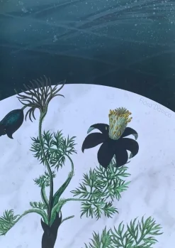 Plakat, Flora Danica IIII 50x70 cm