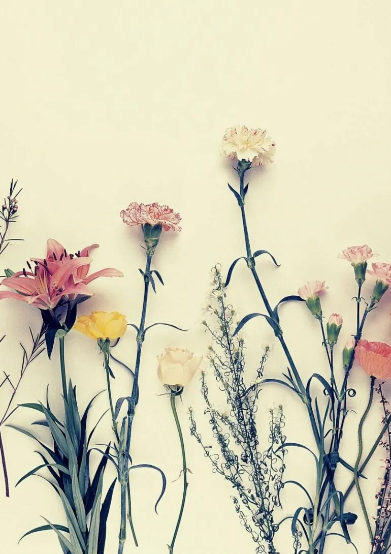 Plakat, From the cross