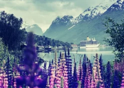 Plakat, Greetings from abroad