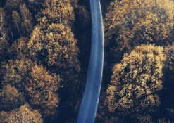 Plakat, Long fall road