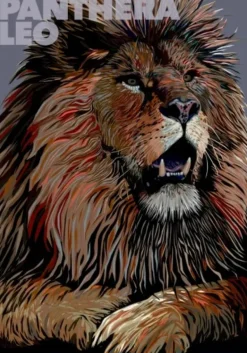 Plakat, Panthera Leo