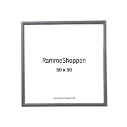 Sølvramme, aluminium, blank, smal, 50 x 50 cm, Type 9013