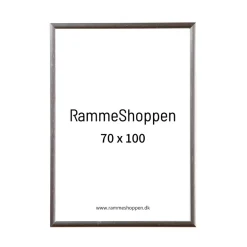 Sølvramme, aluminium, blank, smal, 70 x 100 cm, Type 9013