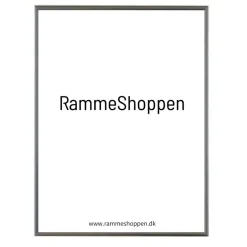 Sølvramme, aluminium, blank, smal, Type 9013