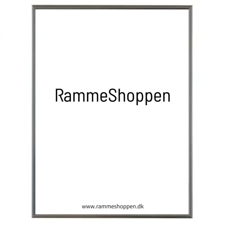 Sølvramme, aluminium, blank, smal, Type 9013