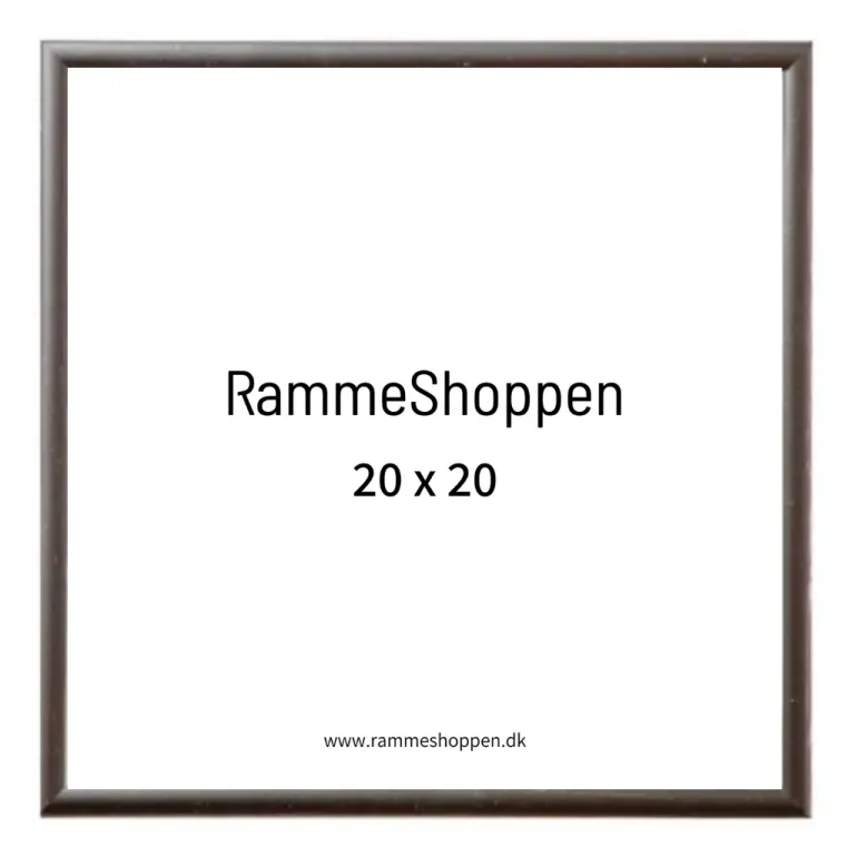 Sølvramme, aluminium, blank, smal, Type 9013