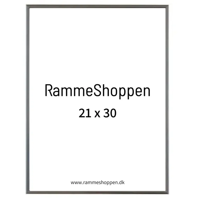 Sølvramme, aluminium, blank, smal, Type 9013