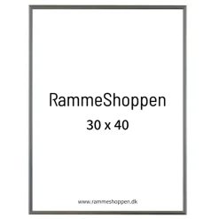 Sølvramme, aluminium, blank, smal, Type 9013