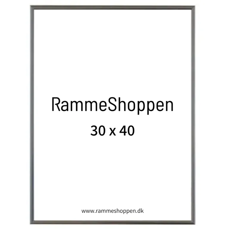 Sølvramme, aluminium, blank, smal, Type 9013