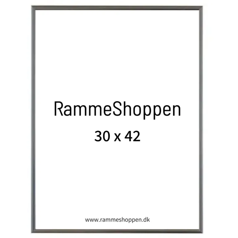 Sølvramme, aluminium, blank, smal, Type 9013