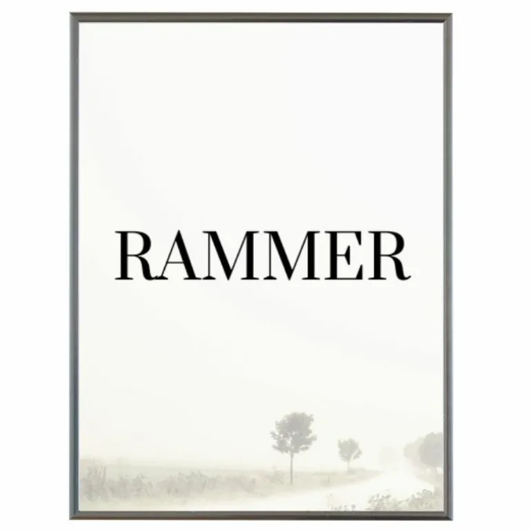 Sølvramme, aluminium, blank, smal, Type 9013