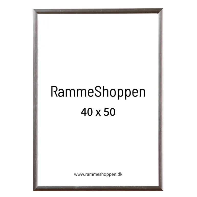 Sølvramme, aluminium, blank, smal, Type 9013