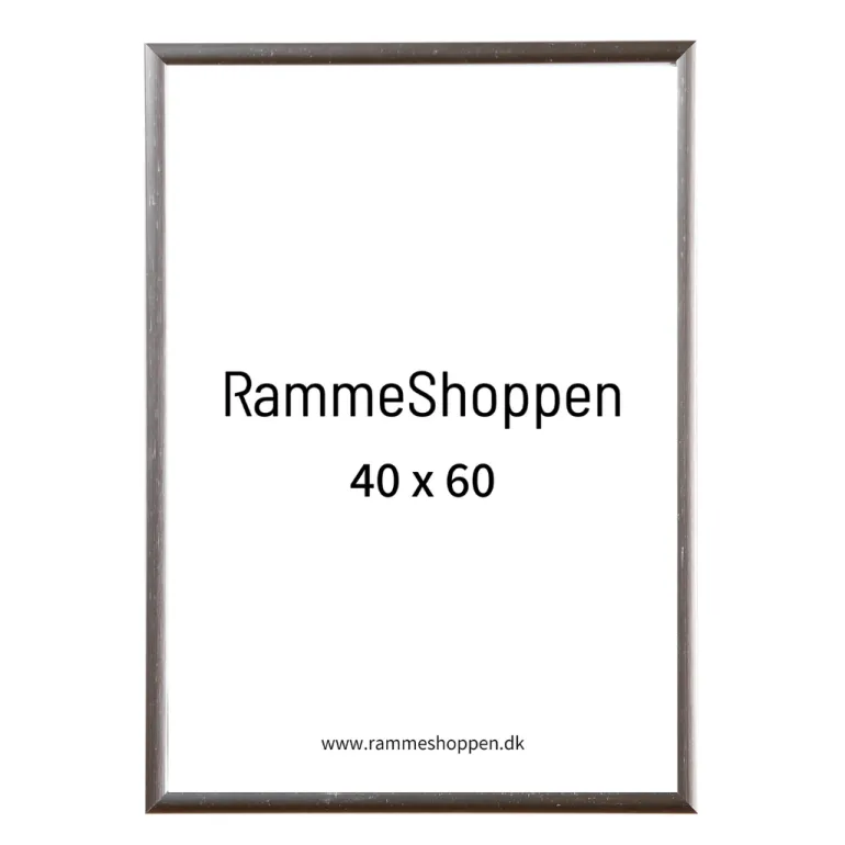 Sølvramme, aluminium, blank, smal, Type 9013