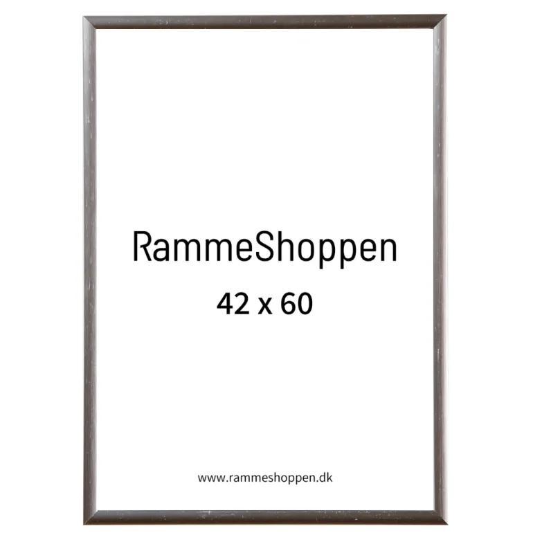 Sølvramme, aluminium, blank, smal, Type 9013