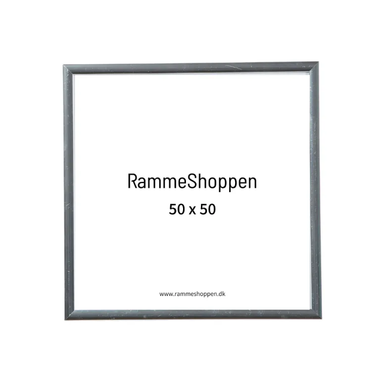 Sølvramme, aluminium, blank, smal, Type 9013